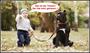Bruder (Copy)