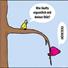 Dit Vogel (Copy)