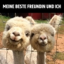 Meine beste Freundin(Thumbnail)