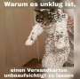 Versandkatze(Thumbnail)