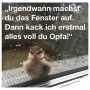 Vogel Fenster(Thumbnail)