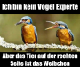 Weibchen(Thumbnail)