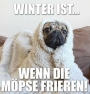WinterMopps(Thumbnail)