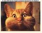 bild087 (Copy)